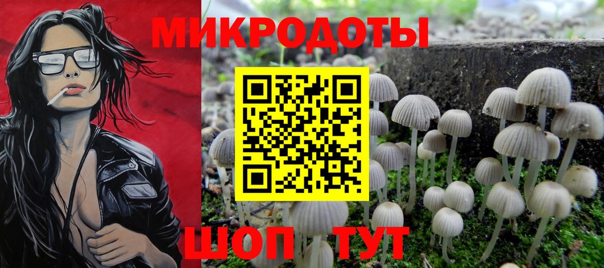 Псилоцибиновые грибы мицелий Оренбург