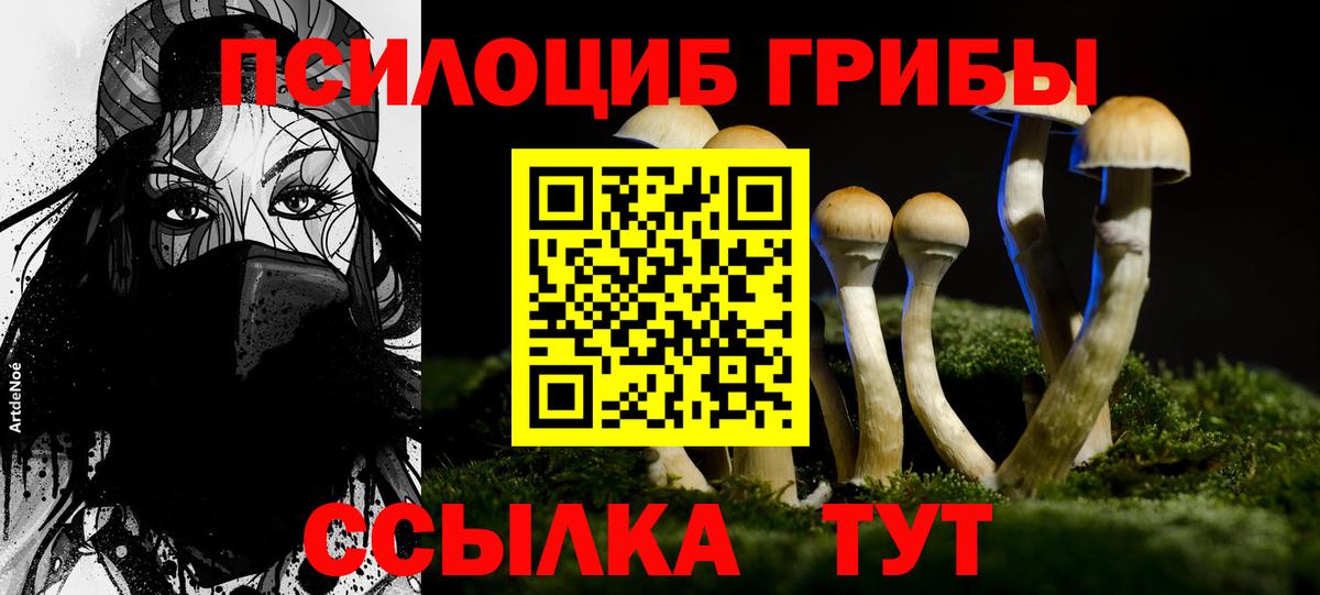 Псилоцибиновые грибы Cubensis  Вход с VPN  Оренбург 